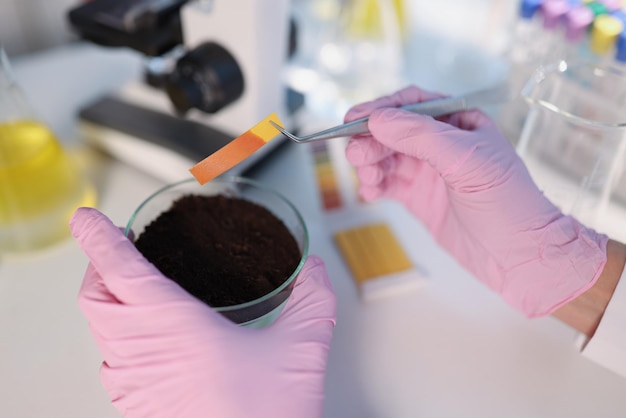 Researcher hold small glass flask with soil performing ph test strip