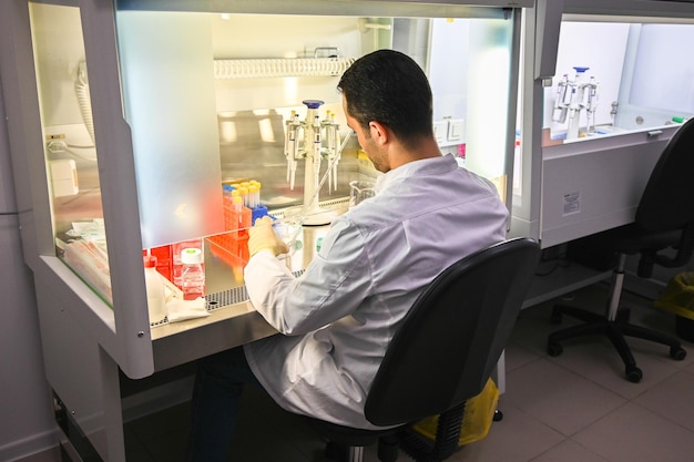 The researcher's work with cell culture in a laminar box