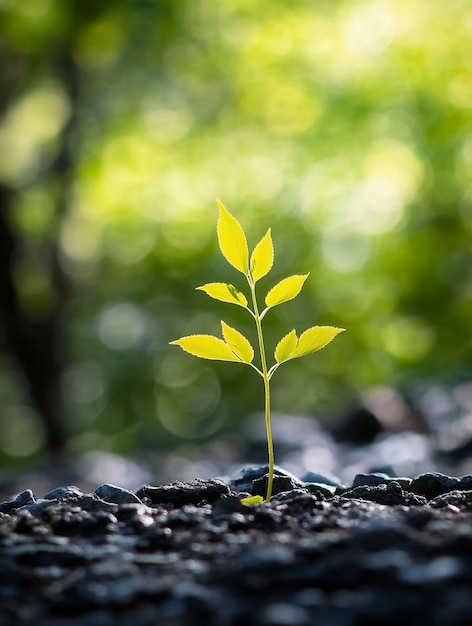 Photo resilience in nature young plant growing from rocky soil with soft green background