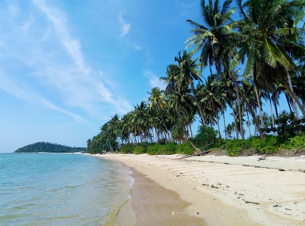 Resort on a tropical island in the ocean. Palm trees on the beach. Clear water. Dream vacation.