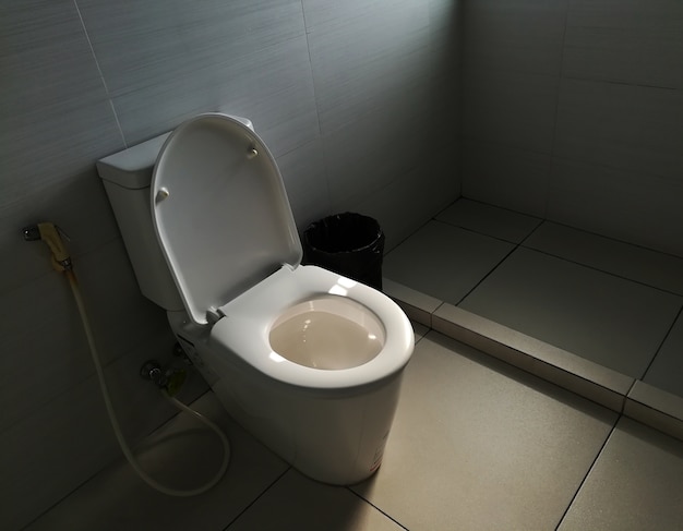 Rest room with toilet seat