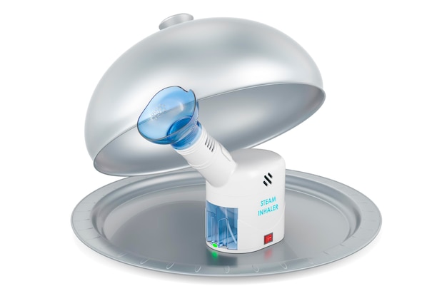 Restaurant cloche Facial Steamer Steam Inhaler 3D rendering