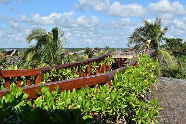 resting place on a tropical beach picturesque exotic landscape palm trees on the seashore