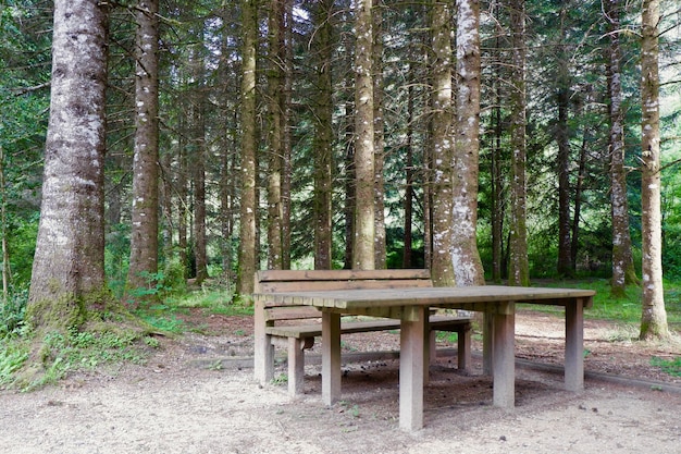 Resting spot with table and chair in the old forest in Bielsa Huesca Spain