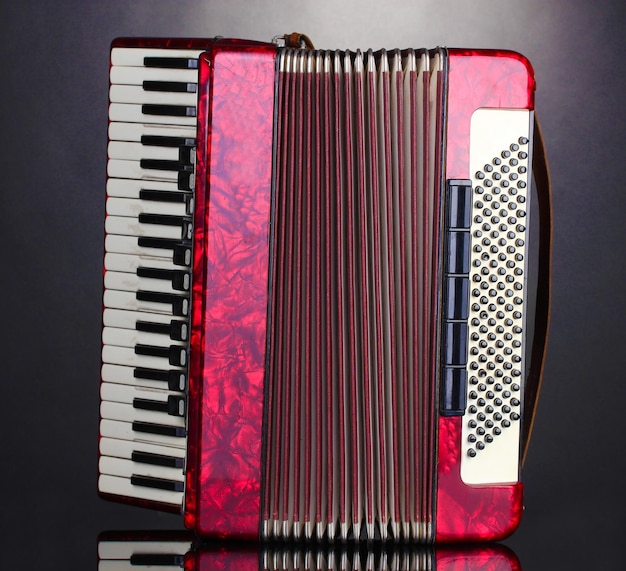 Retro accordion on grey background