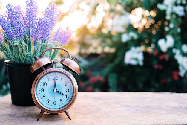 Retro alarm clock put on wood table with beautiful lavender.