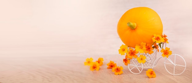 Retro bicycle with basket of flowers pumpkin on light background autumn thanksgiving day copy space