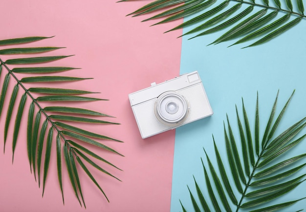 Retro camera palm leaves on pink blue background Tropical minimal layout Top view Flat lay