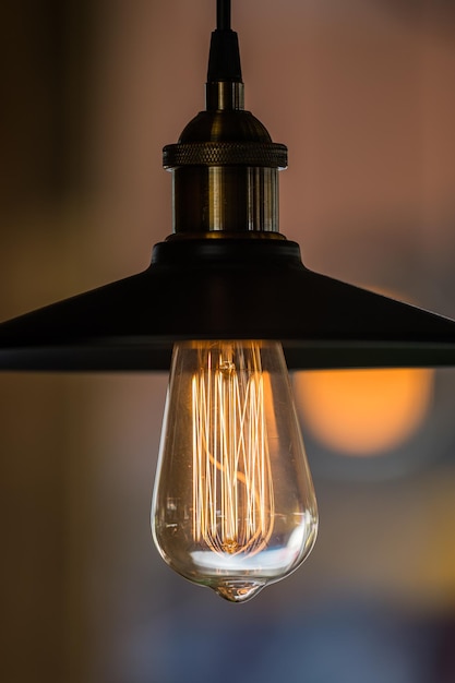 retro Edison light bulb decor close up