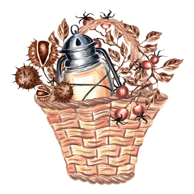 Retro lantern with chestnut rosehip berries and leaves vintage wicker basket autumnal hand drawn