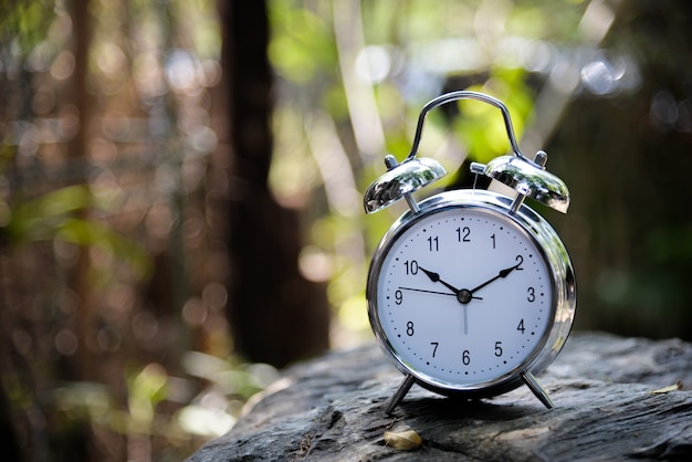 retro metal alarm clock on the rock with natural view background