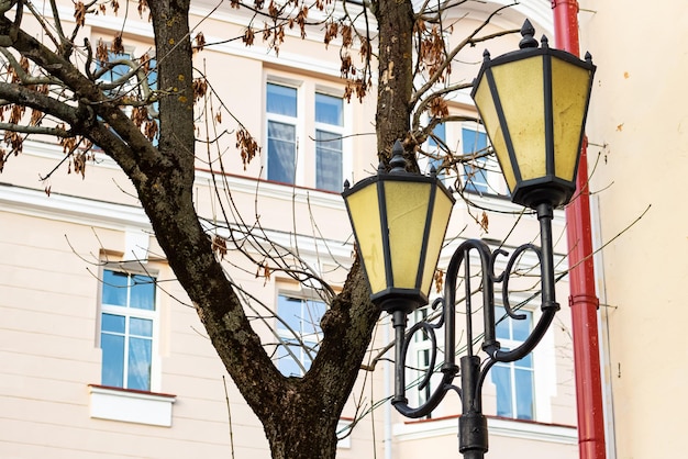 Retro street lamp on autumn tree background