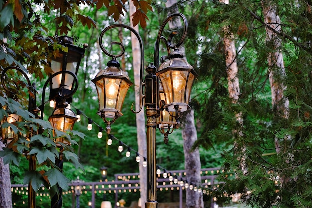 Retro style streetlights with warm illumination Vintage lantern in the city park