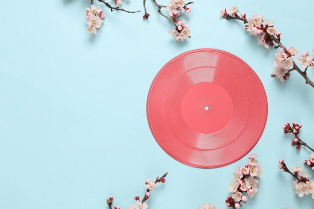 Retro vinyl record with beautiful white flowering branches on blue pastel background Springtime minimal music concept Flat lay top view Copy space