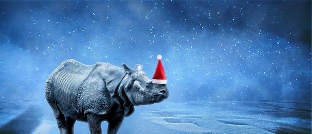 Rhinoceros in Santa Claus hat over snowy background, merry christmas concept, panoramic image