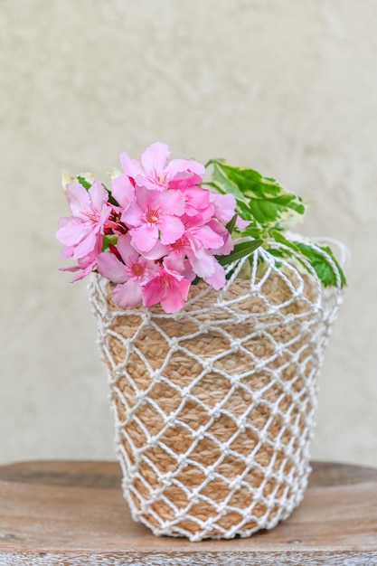 Rhododendron pink flowers in a basket of braided straws on a white textured background