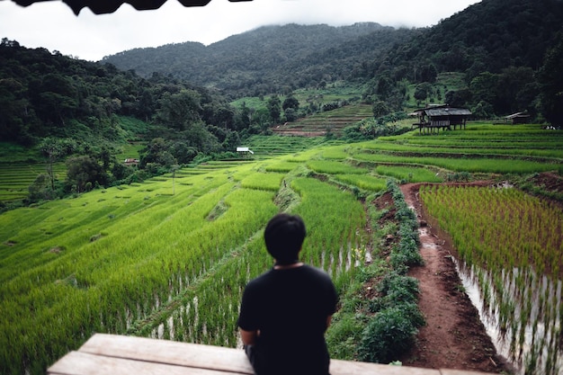 Rice field vacation people at huts and rice terraces