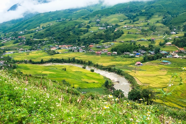 Rice field with river in valley at tribal village