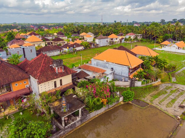 The rice fields are flooded with water Flooded rice paddies Agronomic methods of growing rice in the fields Flooding the fields with water in which rice sown View from drone