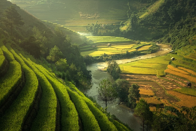 Rice fields Mu Cang Chai, Vietnam