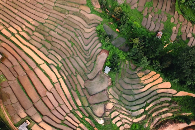 Rice fields outside the growing season