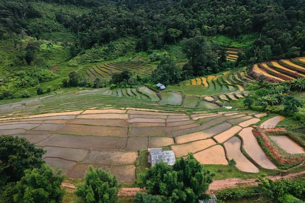 Rice fields outside the growing season