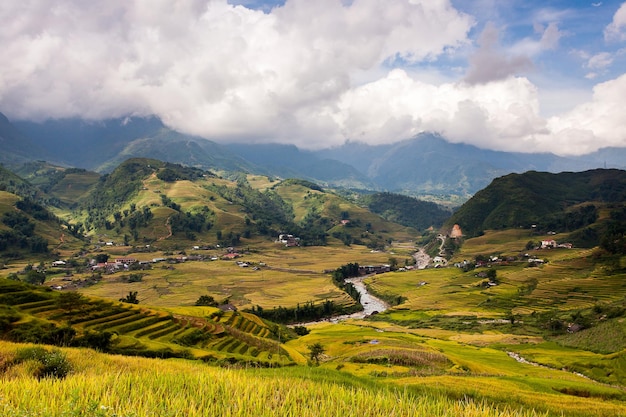 Rice fields on terrace in rainy season at Mu Cang Chai, Yen Bai, Vietnam. Rice fields prepare for transplant at Northwest Vietnam