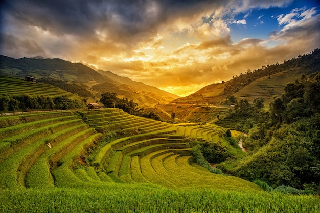 Rice fields on terrace in rainy season at Mu Cang Chai, Yen Bai, Vietnam