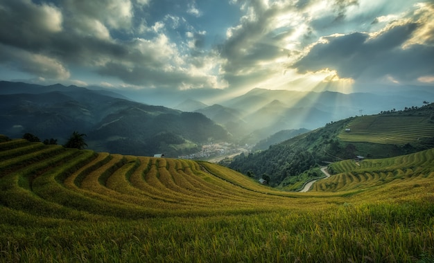 Rice fields on terraced of Mu Cang Chai, YenBai, Vietnam.