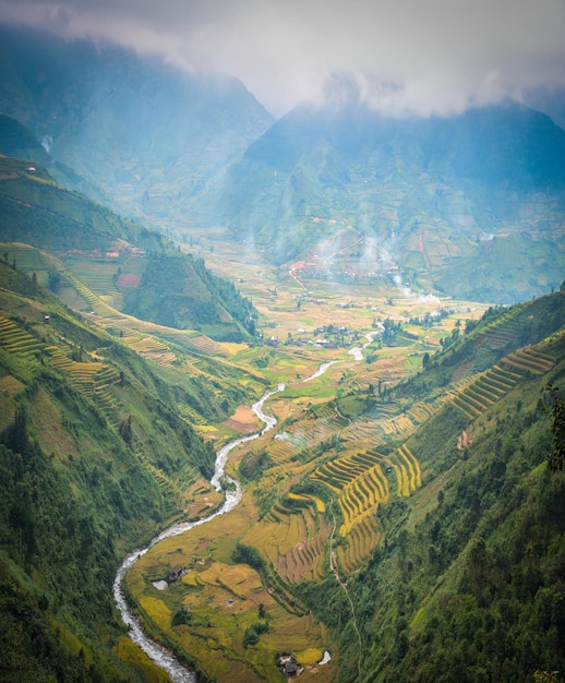 Rice fields on terraced with wooden pavilion at dramatic sky in Sa Pa Yen Bai Vietnam