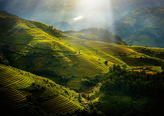 Rice fields on terraced with wooden pavilion at sunrise in Mu Cang Chai, YenBai, Vietnam.