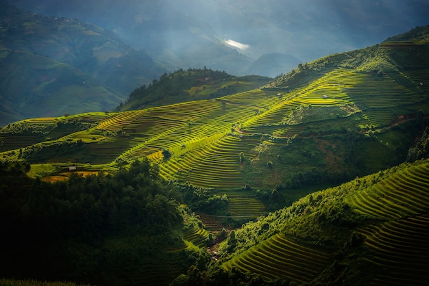 Rice fields on terraced with wooden pavilion at sunrise in Mu Cang Chai