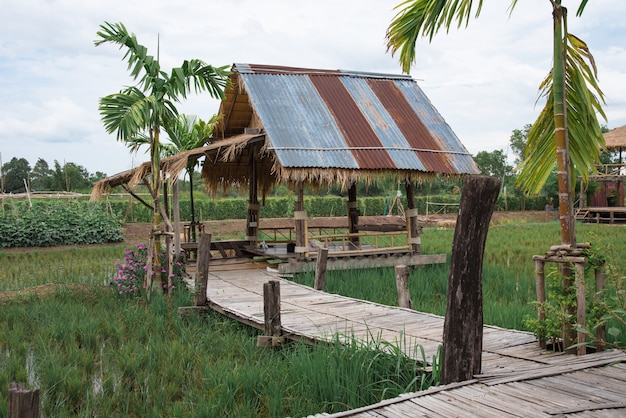 Rice fields and wooden huts amidst nature and sky.