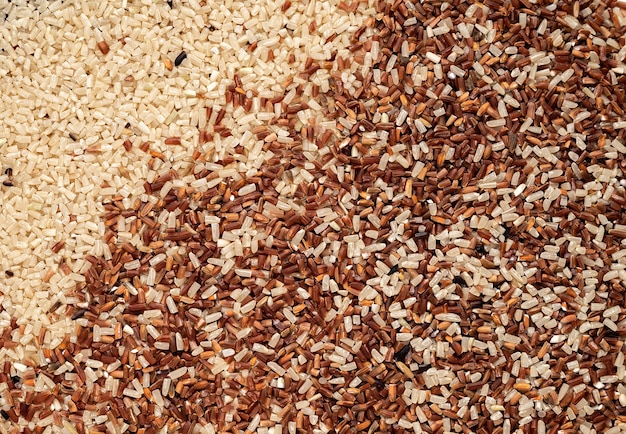 Rice germ organic mix texture background