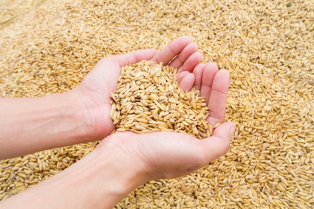 Rice for heart on hand