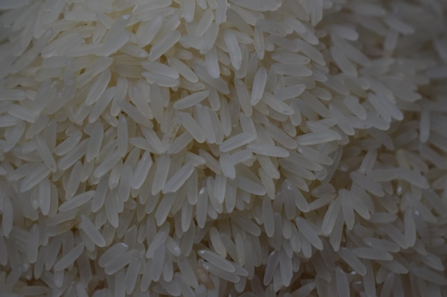 Photo rice is a rice dish with a picture of rice