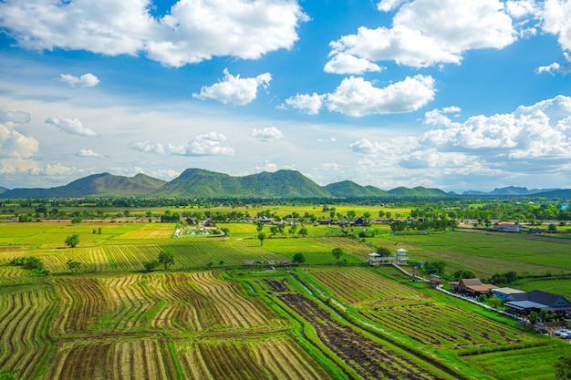 Rice Terrace Aerial Shot Image of beautiful terrace rice field in Chiang Rai Thailand