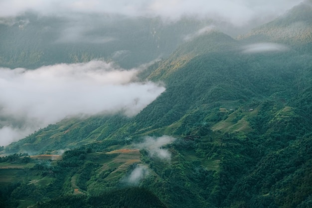 Rice terraces agricultural fields in countryside Sapa Vietnam mountain hills valley on summer in travel trip and holidays vacation concept