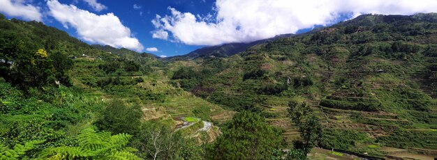 The rice terraces in Banaue Philippines