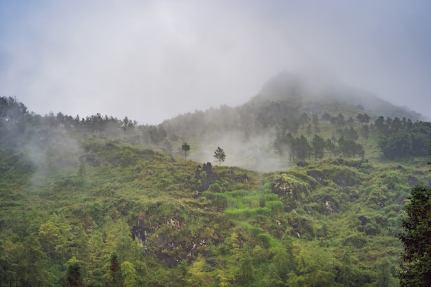 Rice terraces in the fog in sapa vietnam rice fields prepare the harvest at northwest vietnam