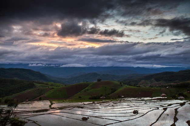 Rice terraces in the mountains with a cloudy sky