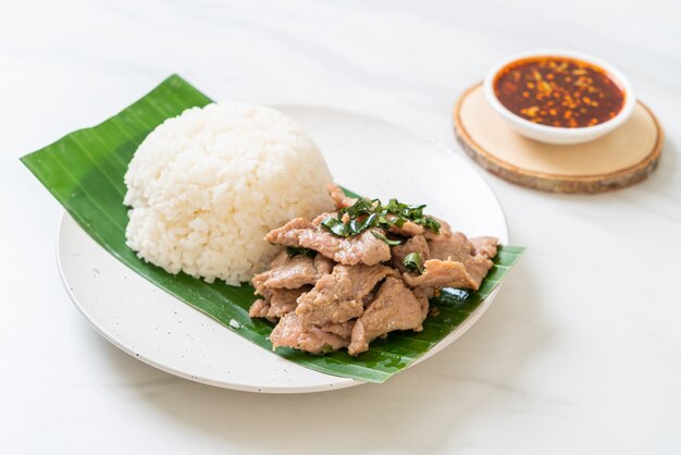 rice with grilled pork garlic