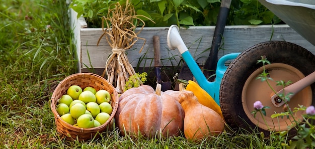 Rich Harvest in the Garden of the high beds and Garden Tools 