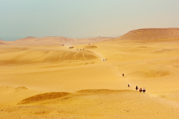 Riders on horses in the desert