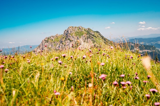 Ridge over the Slovakia mountains mala fatra Hiking in Slovakia mountains landscape Tourist traveler Mala Fatra national park Rozrutec peak