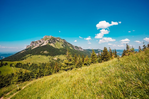 Photo ridge over the slovakia mountains mala fatra hiking in slovakia mountains landscape tourist traveler mala fatra national park rozrutec peak