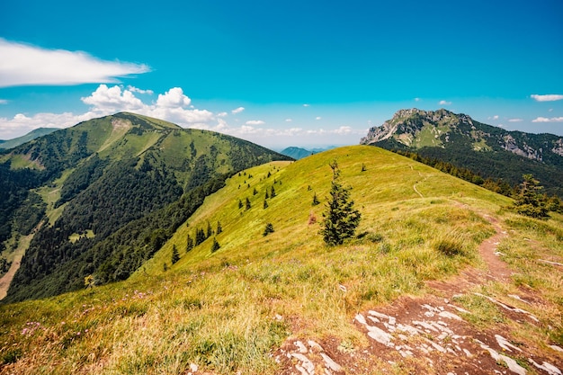 Ridge over the Slovakia mountains mala fatra Hiking in Slovakia mountains landscape Tourist traveler Mala Fatra national park Slovakia Stoh and rozsutec peak