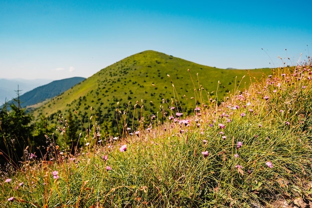 Ridge over the Slovakia mountains mala fatra Hiking in Slovakia mountains landscape Tourist traveler Mala Fatra national park Slovakia