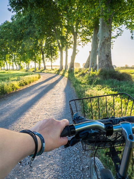 Riding a bike during a sunset in a tree path