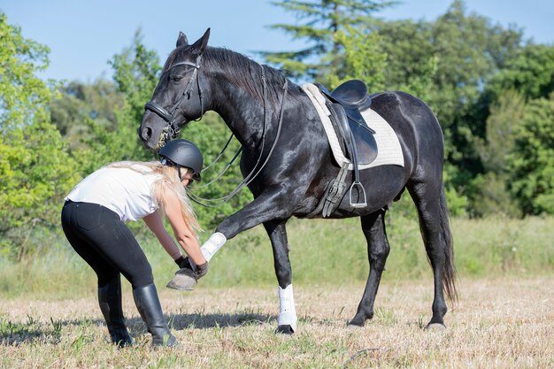 Riding girl and horse